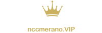 Logo - VIP NCC Merano